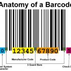 anatomy-barcode
