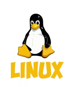 Distro Linux